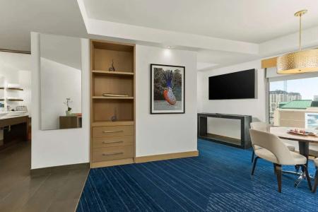 The Art Denver, Curio Collection by Hilton - 103