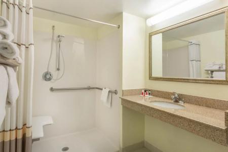 Ramada Plaza by Wyndham Virginia Beach - 8