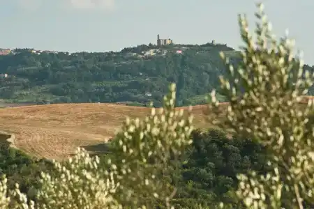 Agriturismo Podere Campaini - 39