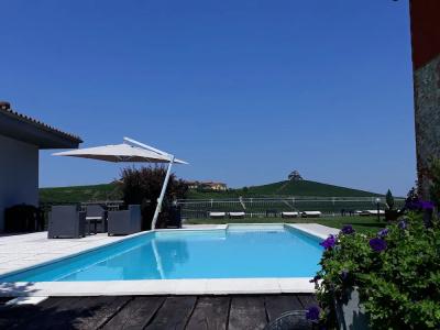Red Wine Camere - 14