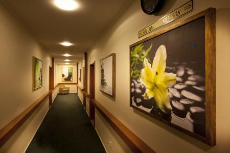 Green Garden - 15