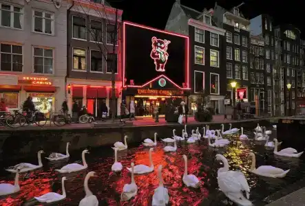 Royal taste Amsterdam - 0