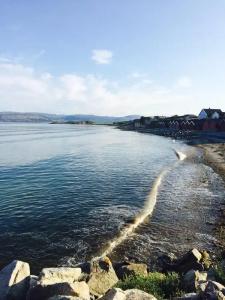 Brekstad Gjestehus - 13