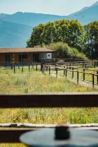 Orias Guesthouse & Farm - 71
