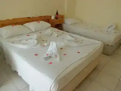 Deniz - 1