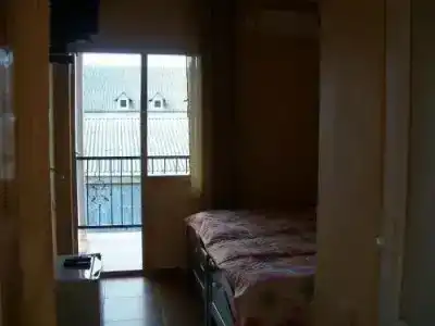 Magnolia Agmashenebeli - 1