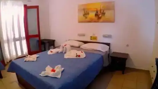Paloma Garden - 21