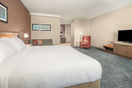 Hilton Garden Inn- Chicago Central Loop - 3