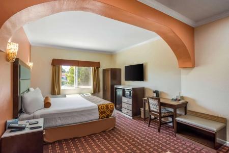 Rodeway Inn & Suites - - 67
