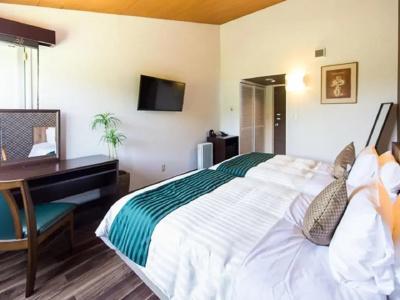 Livemax Resort Ito Kawana - 70