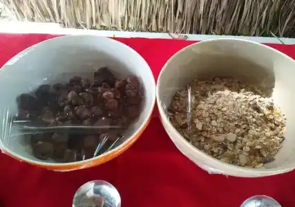 Thai Garden Inn - 11