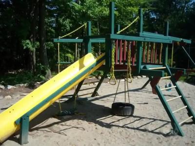 Tall Pines - 10
