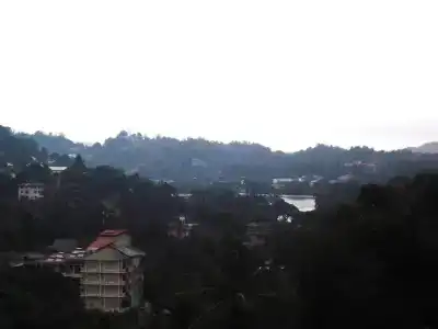 Majestic Tourist - 9