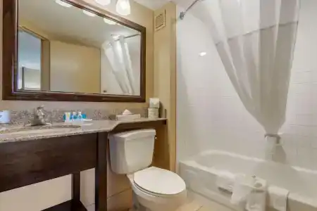 Comfort Inn 290/Nw - 68
