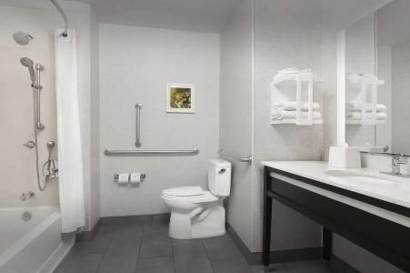 Hampton Inn & Suites/East - 7