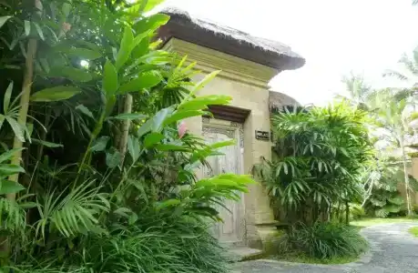 Villa Semana & Spa - 48