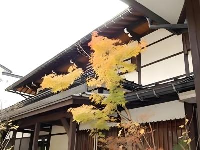 Nakadaya - 21