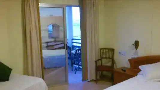 Paloma - 5