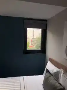 Flamencos - 51