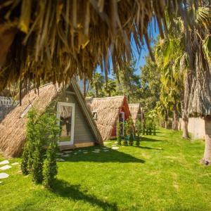 The Hill Glamping Çıralı - 21