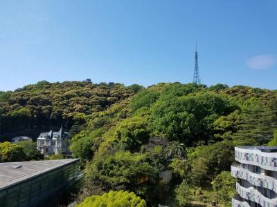 Matsuyama Tokyu Rei - 21