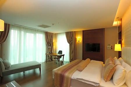 Holiday Inn Ankara - Cukurambar, an IHG - 117