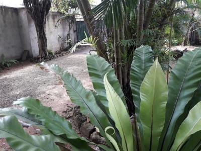 Sea Front - 34