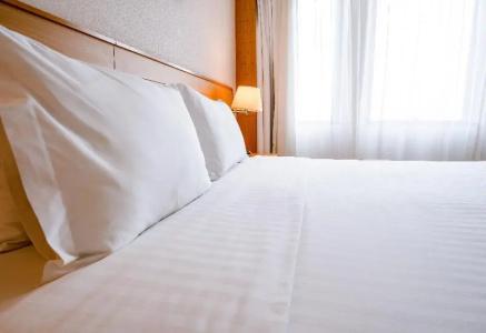 Holiday Inn Parque Anhembi, An Ihg - 83
