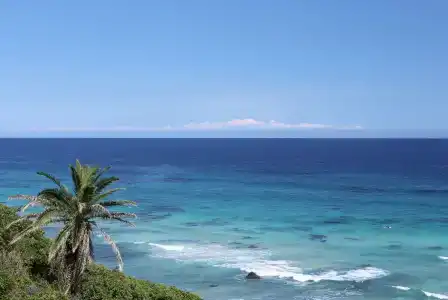 Shimoda Prince - 15