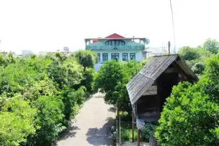 Green House - 26
