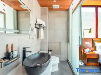 Novotel Nancy - 70
