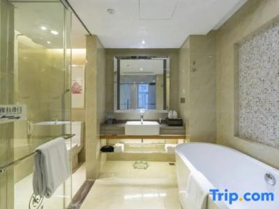 Chongqing Wenyue - 31