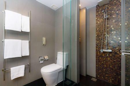 Park Plaza Bangkok Soi 18 - Sha Extra Plus - 49
