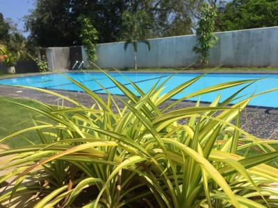 Saman Resort Yala - 32