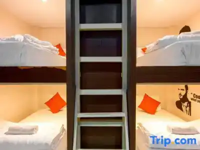 Sleep Walker Poshtel - 59