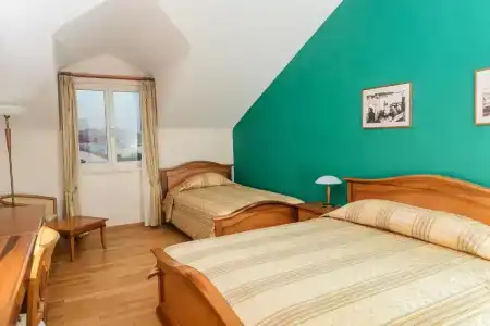 Spongiola - 104