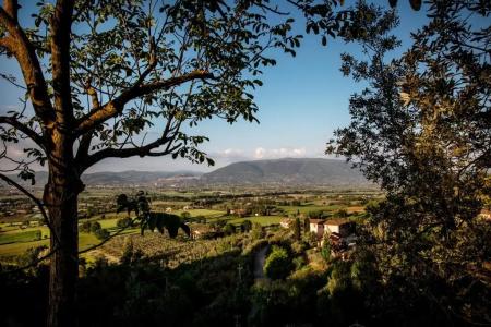 Il Poggio degli Olivi - 100