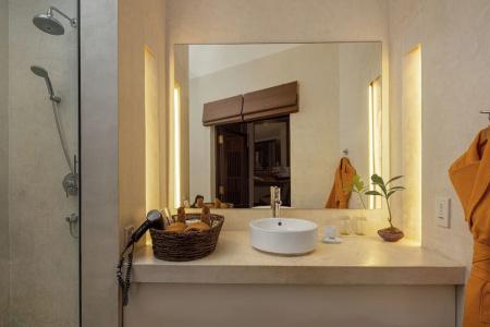 Heritance Ayurveda - All Meals and Treatments - Level 1 Certified - 49