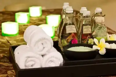 The Rani & Spa - 32