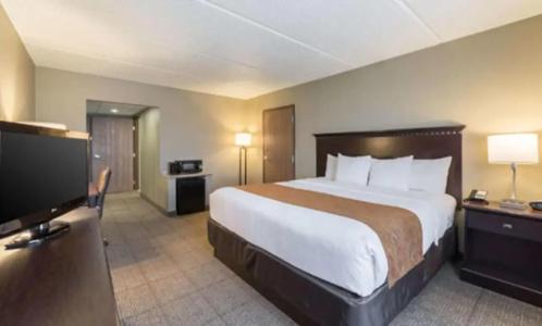 Comfort Inn & Suites - 53
