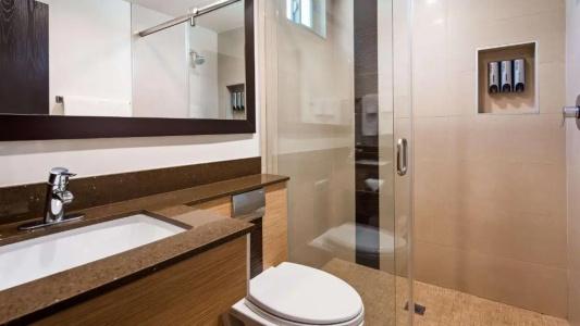 Best Western Plus - 50