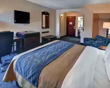 Quality Inn & Suites Dfw Airport South - 6