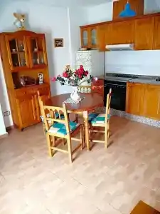 Paloma - 49