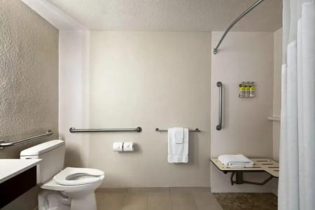 Holiday Inn Express & Suites Sarasota East, An Ihg - 27
