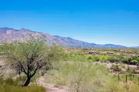 The Westin La Paloma Resort & Spa - 155
