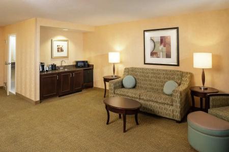 Hilton Garden Inn South - 86