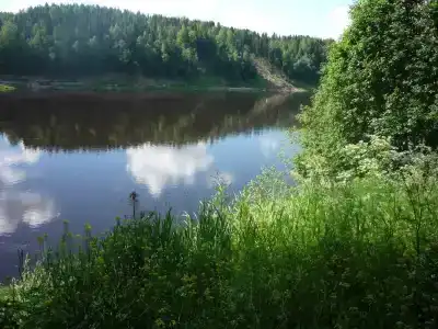 Жемчужина Сухоны - 1