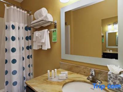 TownePlace Suites San Jose Cupertino - 32