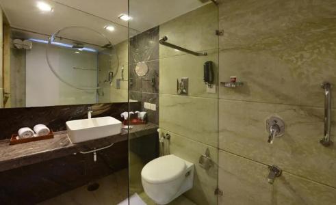 Lords Plaza Jaipur - 27