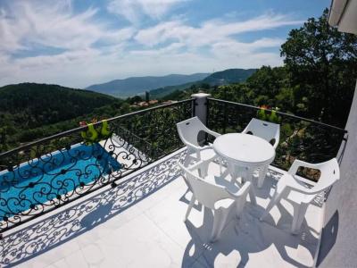 Vila Vuk - 29